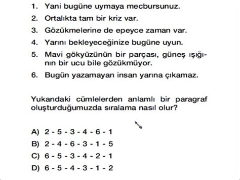 3 sınıf türkçe paragraf soruları